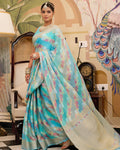 Pure banarasi khaddi chiffon saree