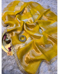 Pure organza strips tissue silk saree